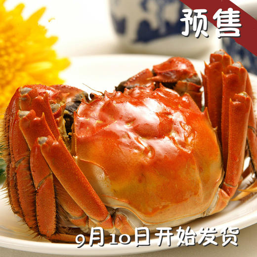 （永久下架）天伦里酒店 美滋滋 太湖蟹礼劵 商品图0