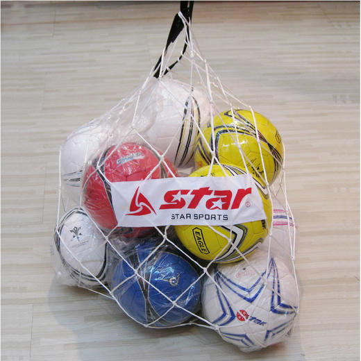 沃恺体育:STAR/世达 足球10个 装网兜 ST920 商品图0
