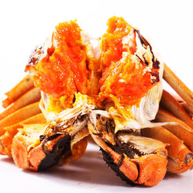 王氏阳澄湖大闸蟹实物蟹套餐