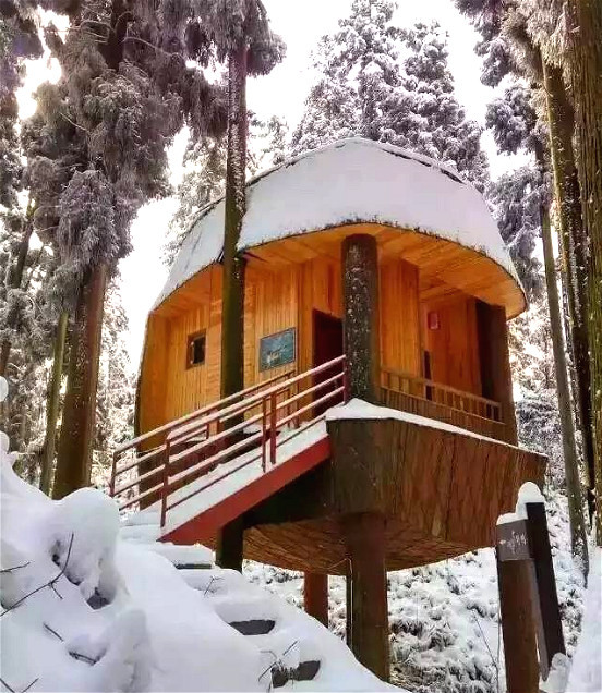 玉屏山树屋仅353元起住特色鸟巢树屋小木屋别墅