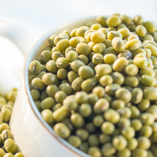 【东北杂粮】宜样新滋补  东北有机绿豆400g*3包（分仓发货） 商品图5