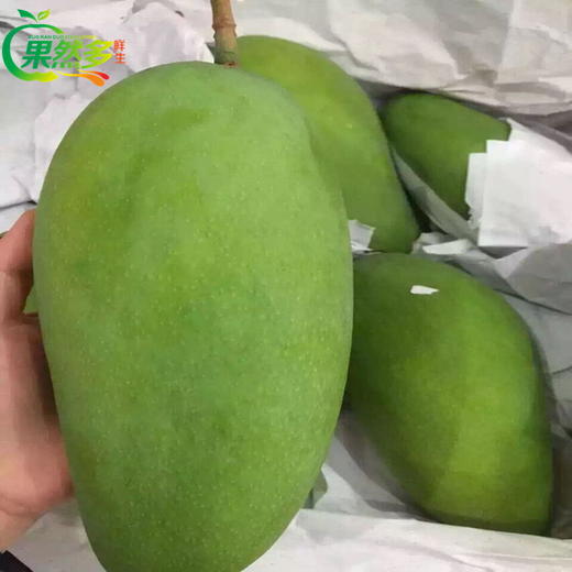 【经典芒果】新鲜越南大青芒果   肉嫩多汁  个大核薄 甜蜜美味 商品图5