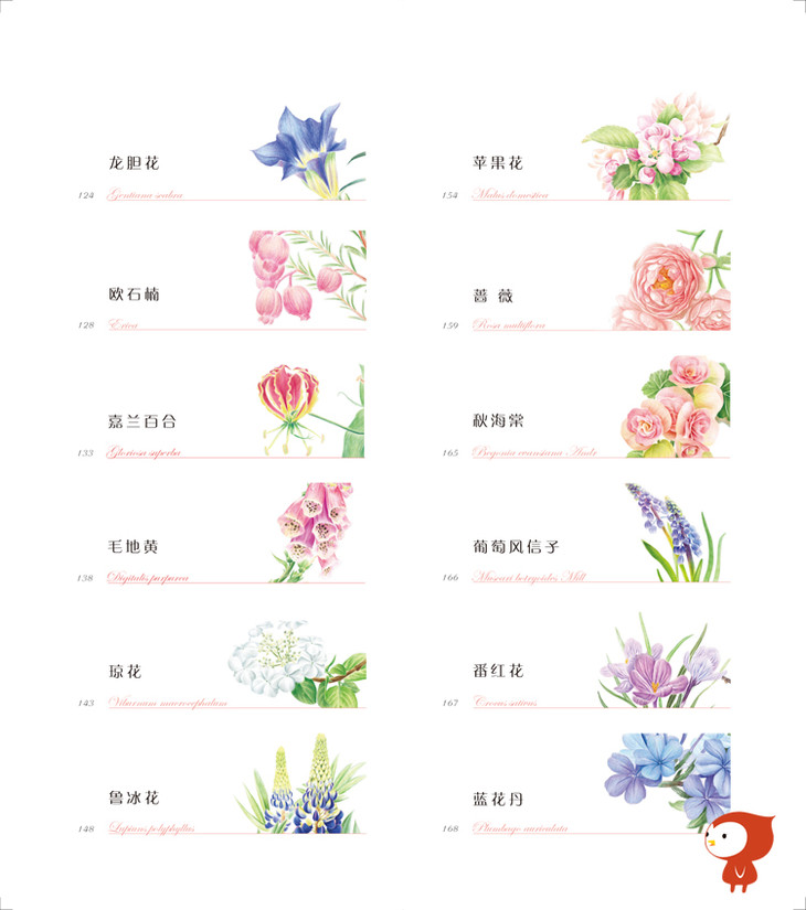 飞乐鸟《花之绘3》彩色铅笔花卉绘画教程马可雷洛阿油性48色绘制