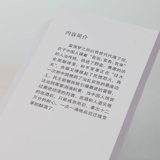 《戒急》：中国人只有彻底告别激进后，才可将本书当成散文读 商品图2