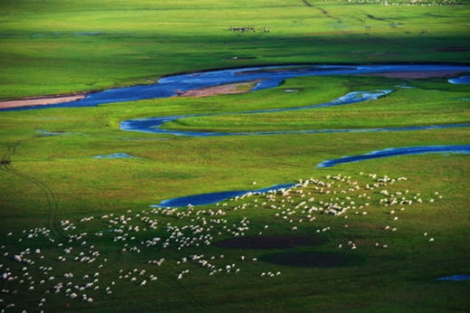 呼伦贝尔羊肉 | 敢用清水煮的羊肉 商品图3