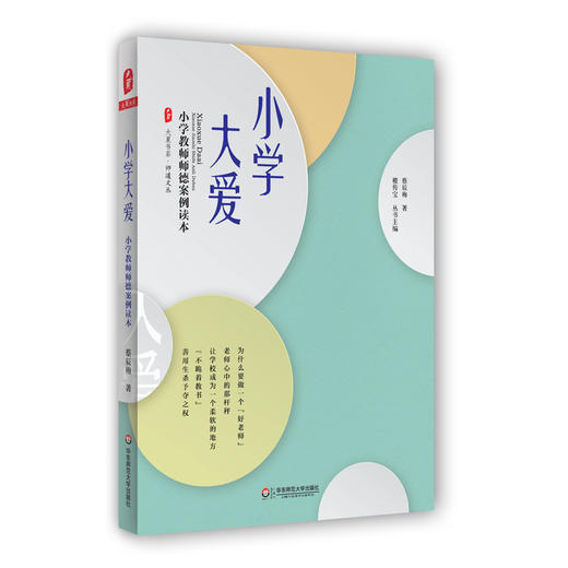 小学大爱 小学教师师德案例读本 大夏书系 师道文丛 蔡辰梅 小学教师师德研究 教师教育理论 商品图0