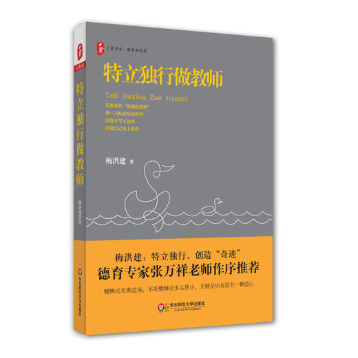 特立独行做教师 大夏书系 教育新思考 德育专家张万祥老师作序推荐 中小学教师教育理论 商品图0