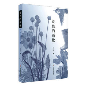 蓝色的雨靴 彭小梅 中国现当代诗集