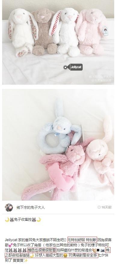 全世界最柔顺的兔子！Jellycat  邦尼兔公仔 商品图7