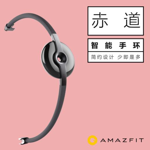 Amazfit 赤道月霜时尚智能手环 运动手环 商品图2
