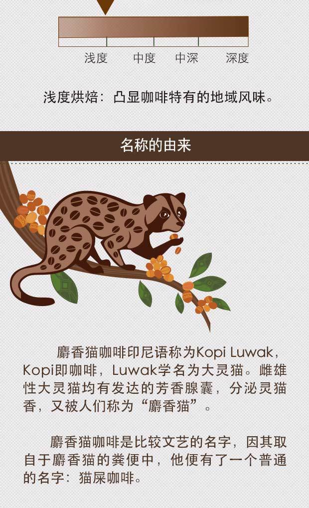 金米兰印度尼西亚麝香猫咖啡豆250g罐珍稀咖啡系列下单烘培默认发咖啡