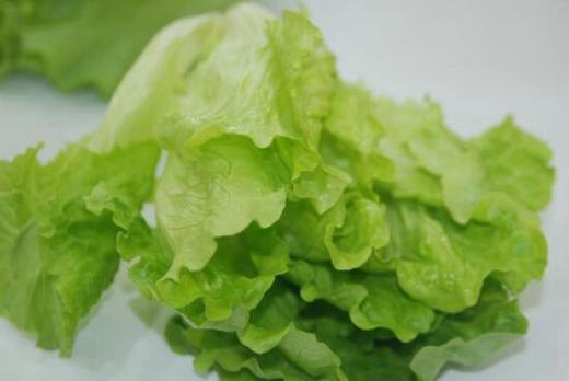 301本地生菜 500克 商品图0