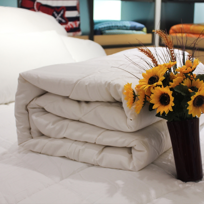 第二代维依大豆冬被