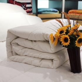 第二代维依大豆冬被