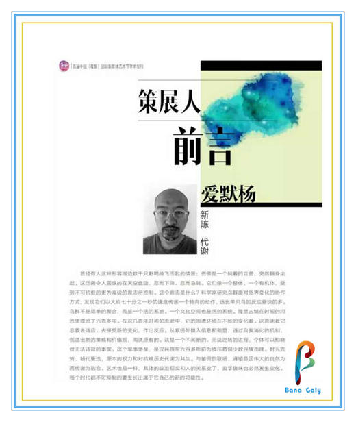 《首届中国(隆里)国际新媒体艺术节学术专刊》 商品图2