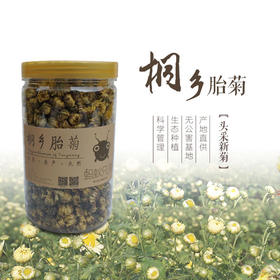 正宗桐乡头采胎菊王 85g杭白菊