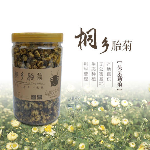 正宗桐乡头采胎菊王 85g杭白菊 商品图0