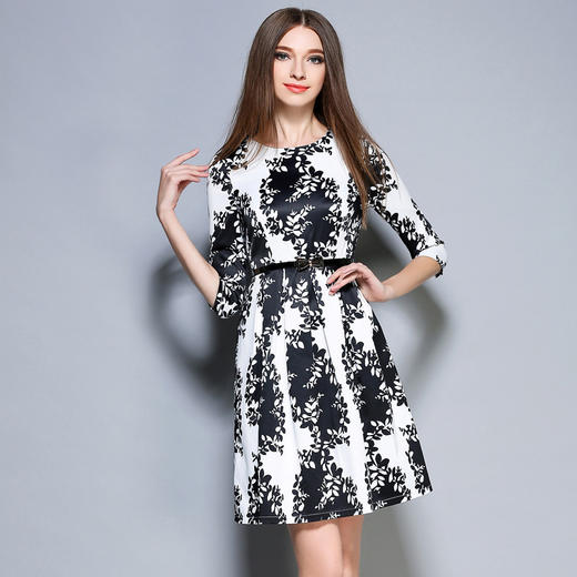 【服饰鞋包】字裙长袖连衣裙女秋季女装印花圆领连衣裙女 商品图0