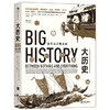 后浪   大历史：虚无与万物之间 （融汇自然和人文，展现世界138亿年的历史） 商品缩略图0