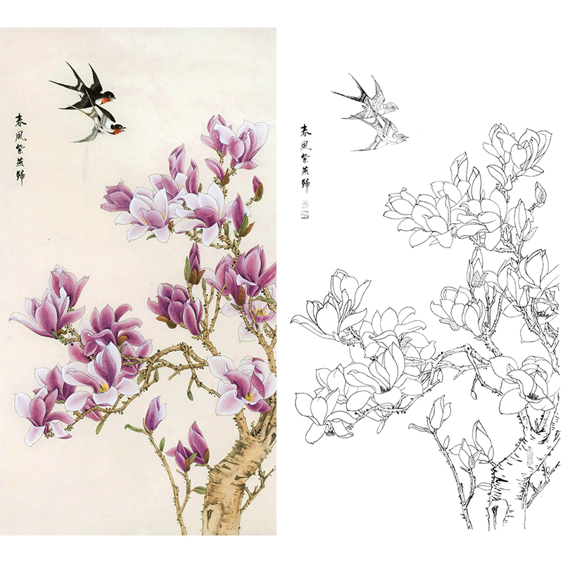 竖幅工笔花鸟白描底稿-玉兰花燕子-XV03