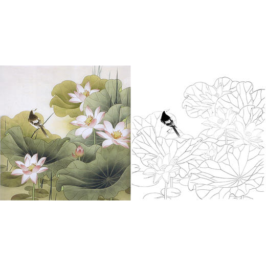 工笔花鸟白描底稿-荷花-斗方小品册页-XV01 商品图0