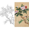 竖幅工笔花鸟白描底稿-牡丹-XV02 商品缩略图0