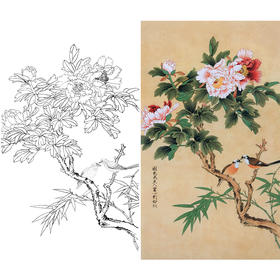 竖幅工笔花鸟白描底稿-牡丹-XV02