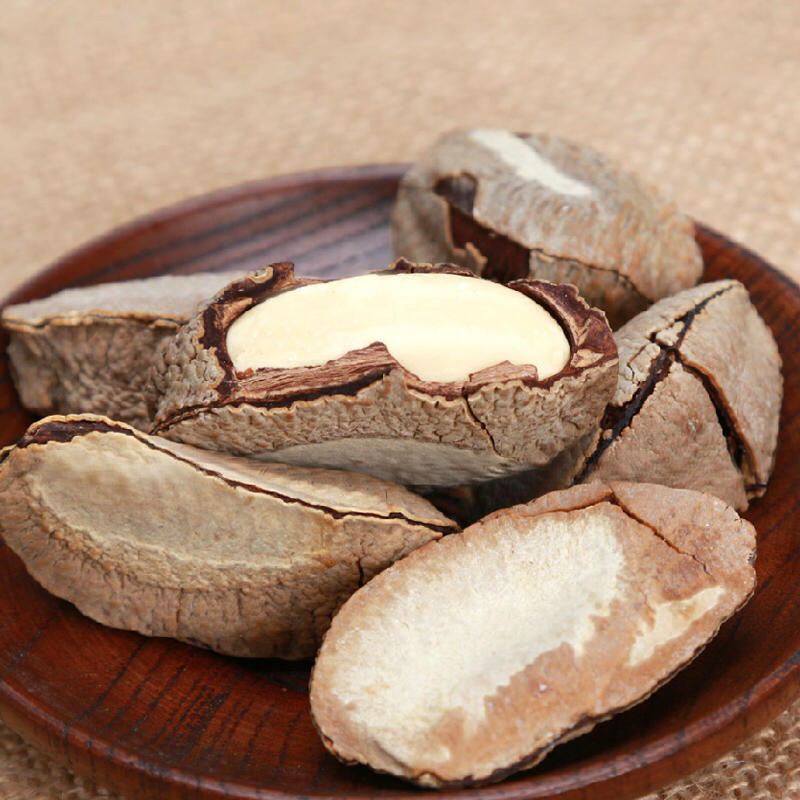 新疆沙漠果又名鲍鱼果 健脑益智?