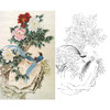 竖幅工笔花鸟白描底稿-牡丹锦鸡-XV04 商品缩略图0
