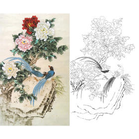 竖幅工笔花鸟白描底稿-牡丹锦鸡-XV04
