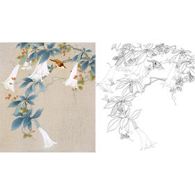 工笔花鸟白描底稿-斗方小品册页-XV07