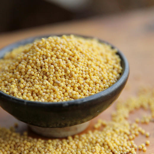 有机生态红谷子小米600g