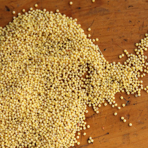 有机生态红谷子小米600g