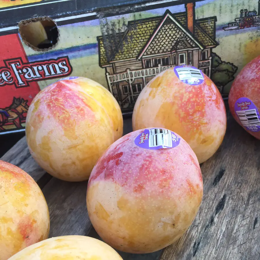 【沪苏浙皖包邮】它来自美国,名字和它的颜色一样充满魔力:火龙蛋!