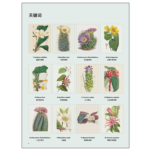 【邱园经典植物图谱2】英国皇家植物园植物图谱 异域植物 商品图5