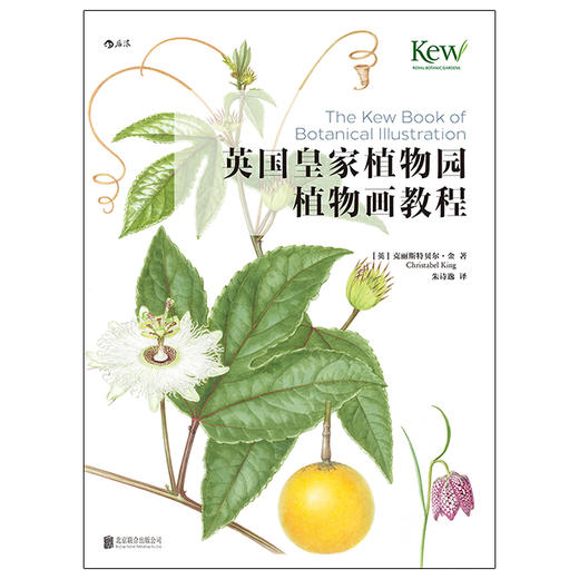 【邱园经典植物画教程】英国皇家植物园植物画教程 商品图1