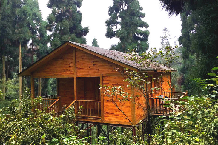 玉屏山树屋仅353元起住特色鸟巢树屋小木屋别墅