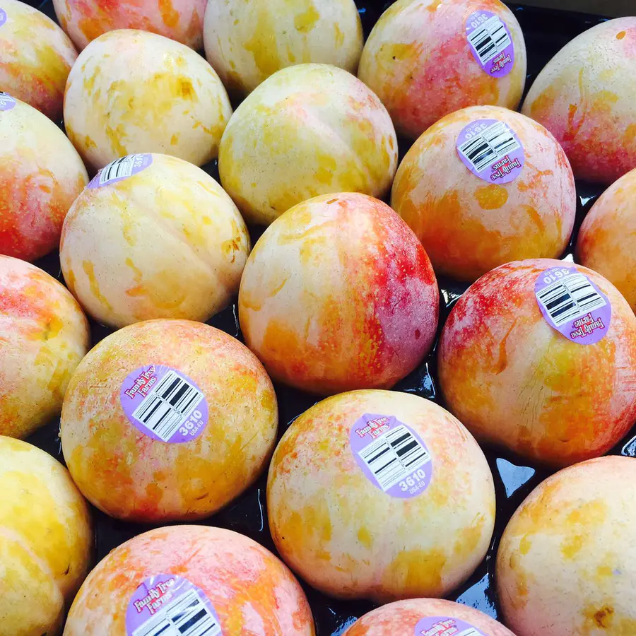 【沪苏浙皖包邮】它来自美国,名字和它的颜色一样充满魔力:火龙蛋!