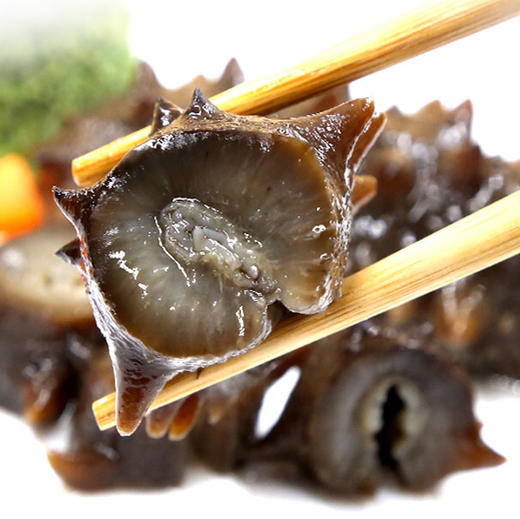 大连即食海参淡干海参礼盒顺丰快递运费到付 商品图4