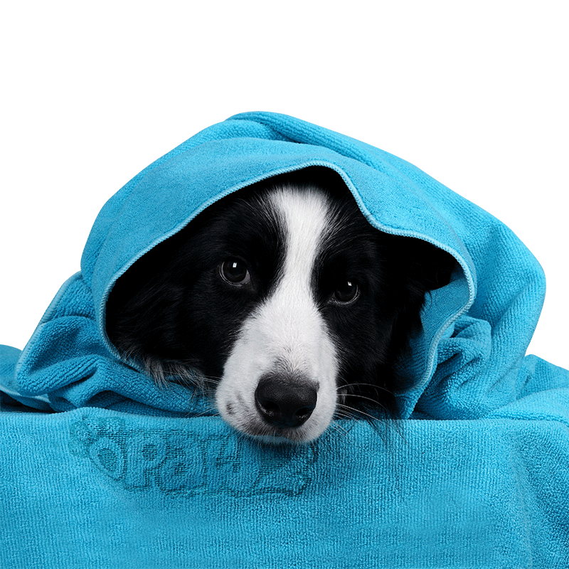 宠物浴巾 OPAWZ小爪印