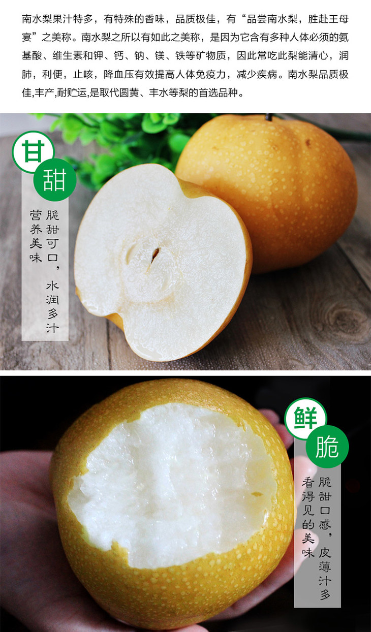 山东南水梨9个装秋日梨享鲜果到家