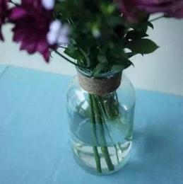 透明「小池塘」玻璃花器。此花器适用于「Nature自然系列」。