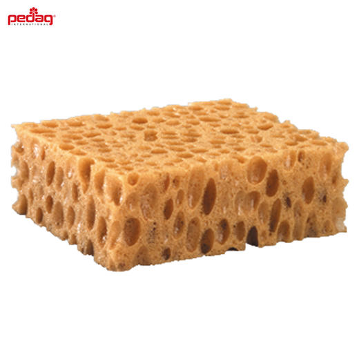 德国pedag清洁海绵刷芝士型813 商品图5
