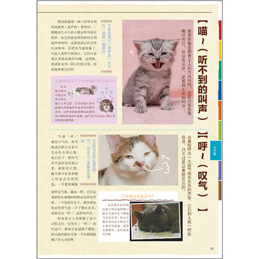 猫语大辞典 商品图6