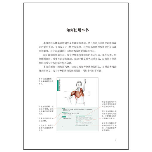 酸痛拉筋解剖书 商品图3