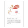 酸痛拉筋解剖书 商品缩略图4