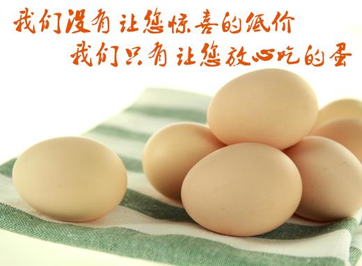 【团单】散养蛋40枚1份 100份起送  提前5天预订 上海市包配送（崇明除外） 商品图1