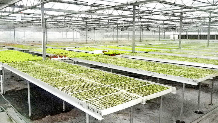 大蒜 にんにく 150g