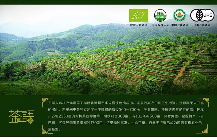 蚂蚁兄弟光照人有机茶铁观音茶一级清香型茶叶大牛皮纸盒装