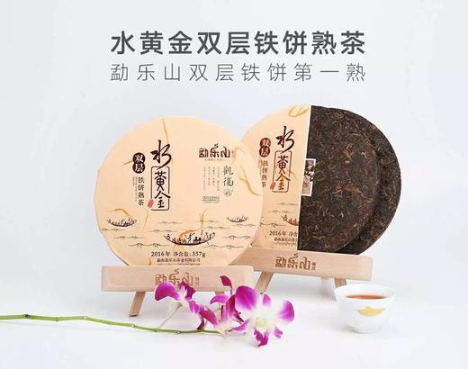 勐乐山观复(水黄金)双层熟饼357g 商品图1
